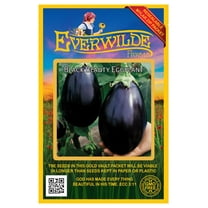 Everwilde Farms - 250 Black Beauty Eggplant Seeds - Gold Vault Jumbo Bulk Seed Packet
