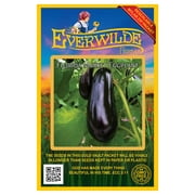 Everwilde Farms - 250 Florida Market Eggplant Seeds - Gold Vault Jumbo Bulk Seed Packet