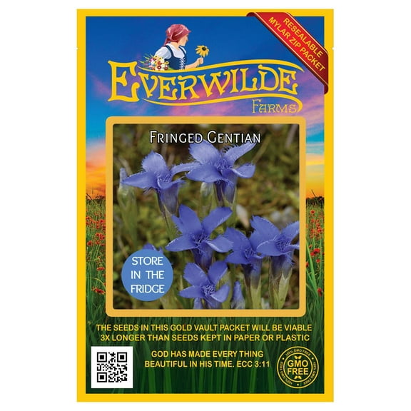 Everwilde Farms - 250 Fringed Gentian Native Wildflower Seeds - Gold Vault Seed Packet