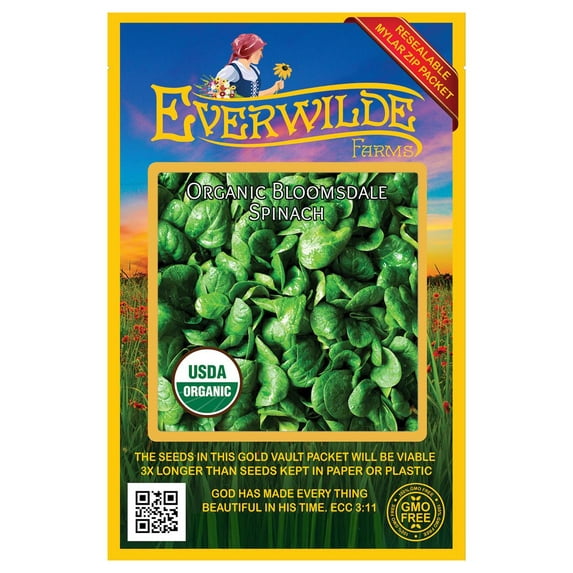 Everwilde Farms - 250 Organic Bloomsdale Spinach Seeds - Gold Vault Jumbo Bulk Seed Packet