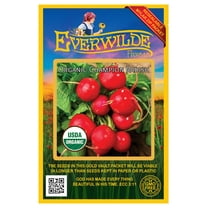 Everwilde Farms - 250 Organic Champion Radish Seeds - Gold Vault Jumbo Bulk Seed Packet