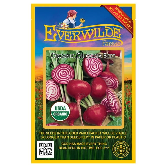 Everwilde Farms - 250 Organic Chioggia Beet Seeds - Gold Vault Jumbo Bulk Seed Packet