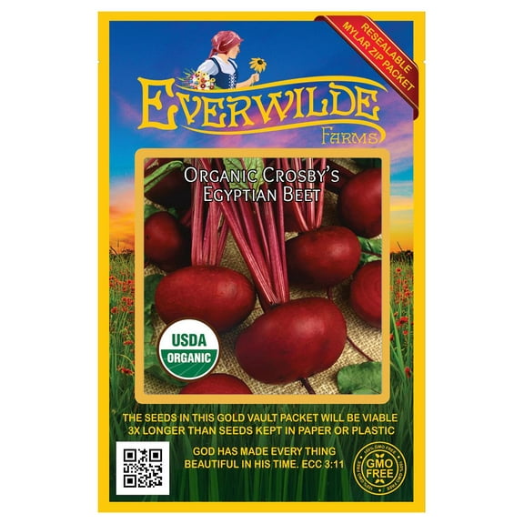 Everwilde Farms - 250 Organic Crosbys Egyptian Beet Seeds - Gold Vault Jumbo Bulk Seed Packet