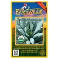 thumbnail image 1 of Everwilde Farms - 250 Organic Lacinato Kale Seeds - Gold Vault Jumbo Bulk Seed Packet, 1 of 5
