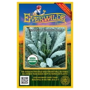 Everwilde Farms - 250 Organic Lacinato Kale Seeds - Gold Vault Jumbo Bulk Seed Packet