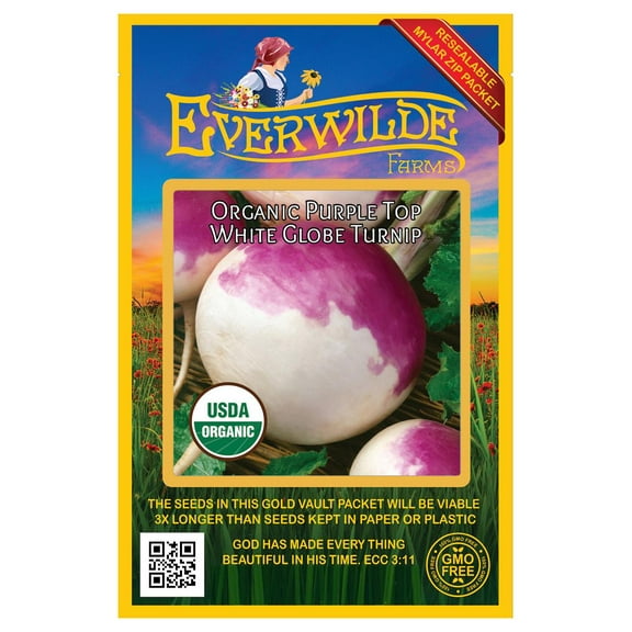 Everwilde Farms - 250 Organic Purple Top White Globe Turnip Seeds - Gold Vault Jumbo Bulk Seed Packet