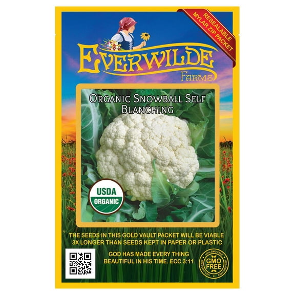 Everwilde Farms - 250 Organic Snowball Self Blanching Cauliflower Seeds - Gold Vault Jumbo Bulk Seed Packet