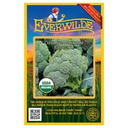 Everwilde Farms - 250 Organic Waltham Broccoli Seeds - Gold Vault Jumbo Bulk Seed Packet
