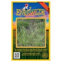 Everwilde Farms 250 Poverty Oat Grass Seeds, Plant Seeds, Native Grass