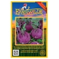 thumbnail image 1 of Everwilde Farms - 250 Purple Vienna Kohlrabi Seeds - Gold Vault Jumbo Bulk Seed Packet, 1 of 5