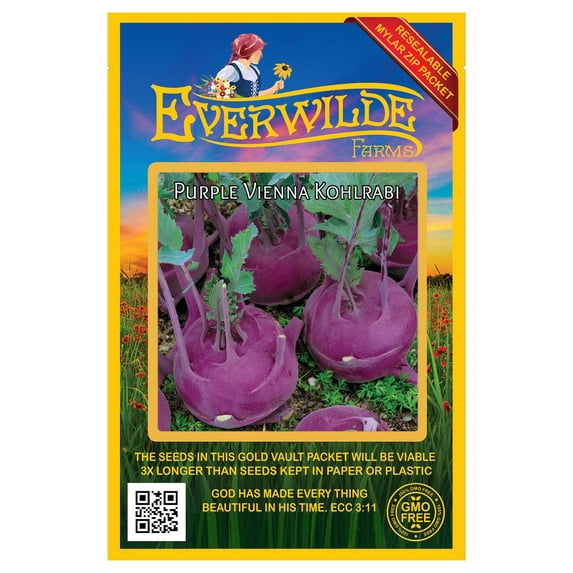 Everwilde Farms - 250 Purple Vienna Kohlrabi Seeds - Gold Vault Jumbo Bulk Seed Packet