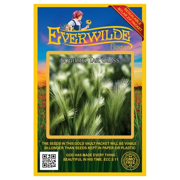 Everwilde Farms - 250 Squirrel Tail Grass Native Grass Seeds - Gold Vault Seed Packet
