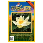 Everwilde Farms - 3 American Lotus Native Wildflower Seeds - Gold Vault Jumbo Bulk Seed Packet
