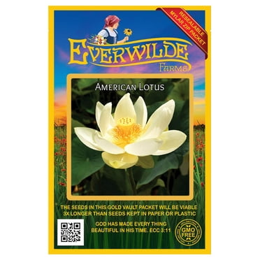 Everwilde Farms - 3 American Lotus Native Wildflower Seeds - Gold Vault Seed Packet