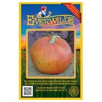 Everwilde Farms - 30 Big Max Pumpkin Seeds - Gold Vault Seed Packet
