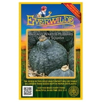 Everwilde Farms - 20 Chicago Warted Hubbard Winter Squash Seeds - Gold Vault Seed Packet