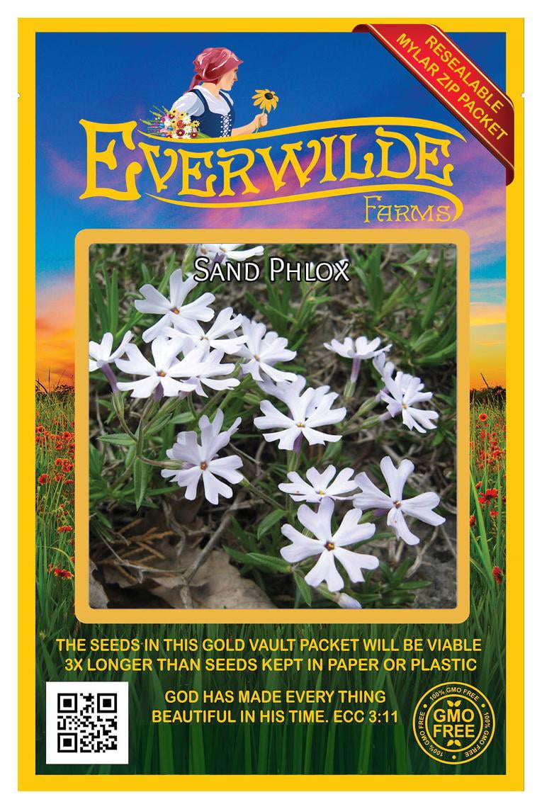 Everwilde Farms - 30 Sand Phlox Native Wildflower Seeds - Gold Vault ...