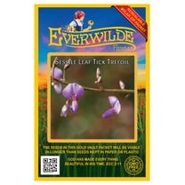 Everwilde Farms - 30 Sessile-Leaf Tick Trefoil Native Wildflower Seeds - Gold Vault Seed Packet