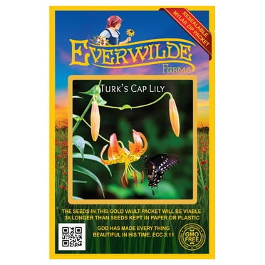 Everwilde Farms - 30 Turk's Cap Lily Native Wildflower Seeds - Gold Vault Seed Packet
