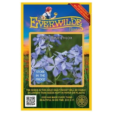 Everwilde Farms - 30 Wild Blue Phlox Native Wildflower Seeds - Gold Vault Seed Packet