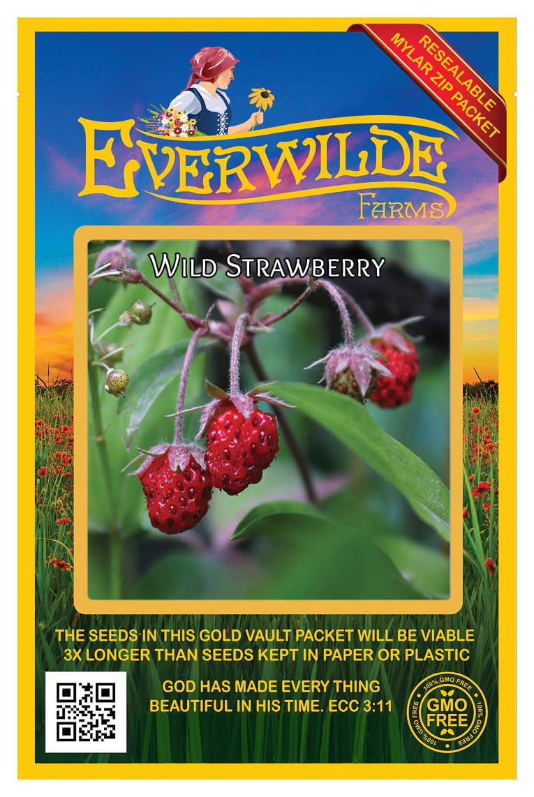 Everwilde Farms - 30 Wild Strawberry Native Wildflower Seeds