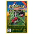 thumbnail image 1 of Everwilde Farms - 30 Wild Strawberry Native Wildflower Seeds - Gold Vault Seed Packet, 1 of 5