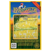Everwilde Farms - 30 Sweet Corn Seeds (Treated) - Gold Vault Jumbo