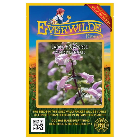 Everwilde Farms - 300 Large-Flowered Beardtongue Native Wildflower Seeds - Gold Vault Seed Packet