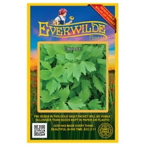 Everwilde Farms - 300 Lovage Herb Seeds - Gold Vault Jumbo Bulk Seed Packet