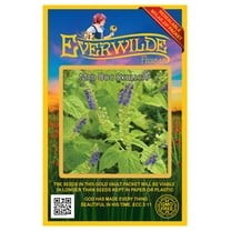 Everwilde Farms 300 Mad Dog Skullcap Flower Seeds, Native Wildflower