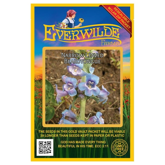 Everwilde Farms - 300 Narrow-Leaved Beardtongue Native Wildflower Seeds - Gold Vault Seed Packet