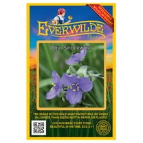 Everwilde Farms - 300 Ohio Spiderwort Native Wildflower Seeds - Gold Vault Jumbo Bulk Seed Packet