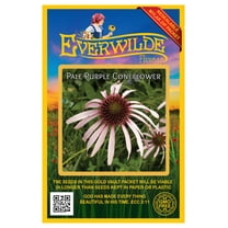 Everwilde Farms - 300 Pale Purple Coneflower Native Wildflower Seeds - Gold Vault Jumbo Bulk Seed Packet