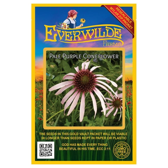 Everwilde Farms - 300 Pale Purple Coneflower Native Wildflower Seeds - Gold Vault Jumbo Bulk Seed Packet