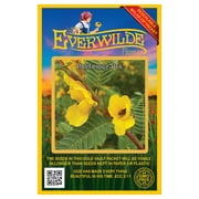 Everwilde Farms - 300 Partridge Pea Native Wildflower Seeds - Gold Vault Jumbo Bulk Seed Packet