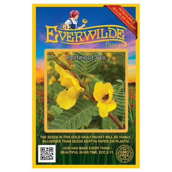 Everwilde Farms - 300 Partridge Pea Native Wildflower Seeds - Gold Vault Jumbo Bulk Seed Packet