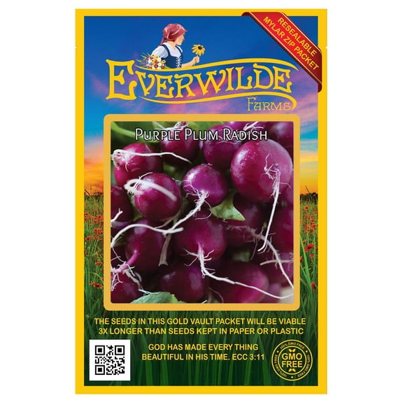 Everwilde Farms - 300 Purple Plum Radish Seeds - Gold Vault Jumbo Bulk Seed Packet