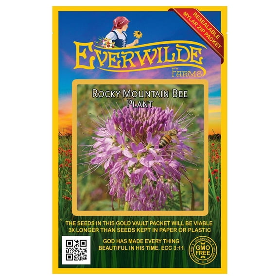Everwilde Farms - 300 Rocky Mountain Bee Plant Native Wildflower Seeds - Gold Vault Jumbo Bulk Seed Packet