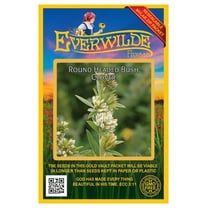 Everwilde Farms - 300 Round Headed Bush Clover Native Wildflower Seeds - Gold Vault Jumbo Bulk Seed Packet