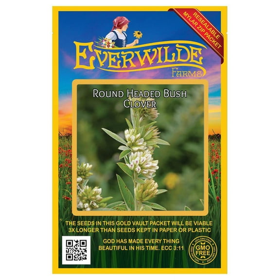 Everwilde Farms - 300 Round Headed Bush Clover Native Wildflower Seeds - Gold Vault Jumbo Bulk Seed Packet