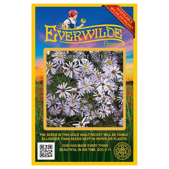Everwilde Farms - 300 Turbinate Aster Native Wildflower Seeds - Gold Vault Seed Packet