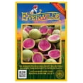 thumbnail image 1 of Everwilde Farms - 300 Watermelon Radish Seeds - Gold Vault Jumbo Bulk Seed Packet, 1 of 5