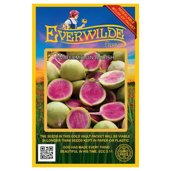 Everwilde Farms - 300 Watermelon Radish Seeds - Gold Vault Jumbo Bulk Seed Packet