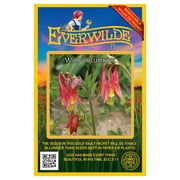 Everwilde Farms - 300 Wild Columbine Native Wildflower Seeds - Gold Vault Seed Packet