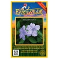 thumbnail image 1 of Everwilde Farms - 100 Wild Petunia Native Wildflower Seeds - Gold Vault Seed Packet, 1 of 5