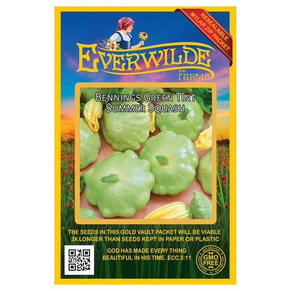 Everwilde Farms - 40 Bennings Green Tint Scallop Summer Squash Seeds - Gold Vault Seed Packet