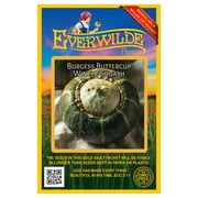 Everwilde Farms - 40 Burgess Buttercup Winter Squash Seeds - Gold Vault Seed Packet