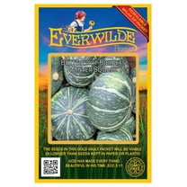 Everwilde Farms - 40 Buttercrop Winter Squash Seeds - Gold Vault Seed Packet