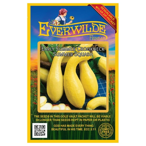 Everwilde Farms - 40 Early Summer Crookneck Summer Squash Seeds - Gold Vault Seed Packet