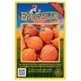 thumbnail image 1 of Everwilde Farms - 40 Golden Hubbard Winter Squash Seeds - Gold Vault Jumbo Bulk Seed Packet, 1 of 5